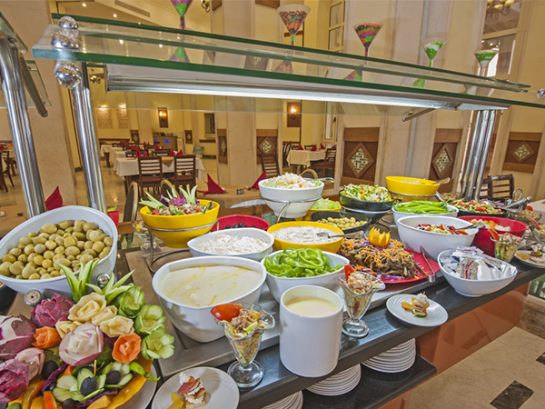 buffet with diverse dishes in bowls, salads, appetizers, and elaborate garnishes, using a VEVOR commercial food warmer.
