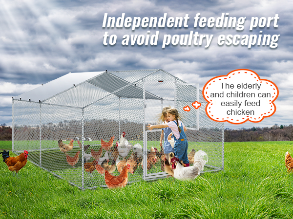 Металлический курятник VEVOR в зеленом поле, дети кормят цыплят через независимое отверстие для кормления.