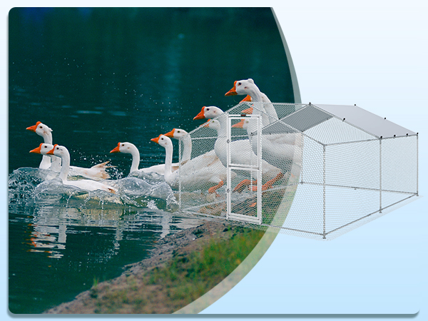 Металлический курятник ВЕВОР рядом с озером с утками на берегу.