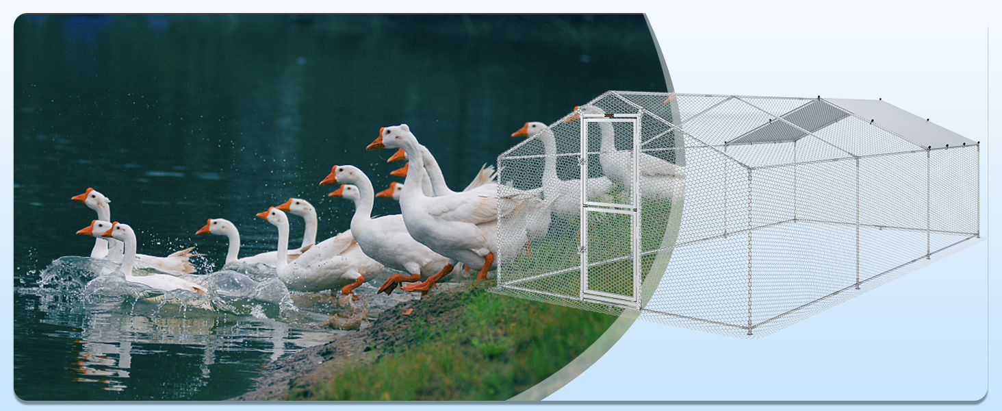 flock of geese by water with VEVOR large metal chicken coop on grass.