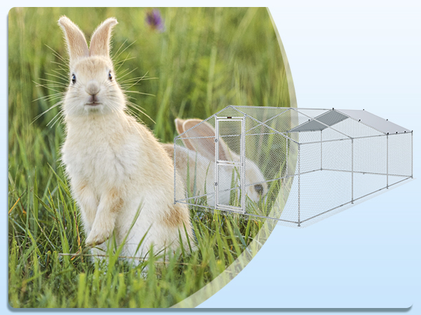rabbits in a grassy field next to a VEVOR large metal chicken coop with a secure door and wire mesh.
