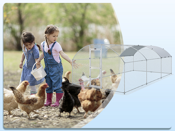 children feeding chickens beside a VEVOR large metal chicken coop in a grassy outdoor setting.