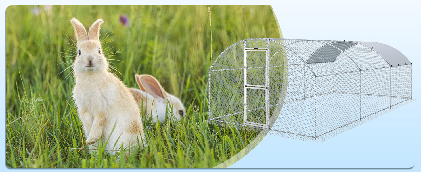 two rabbits in green grass with a VEVOR large metal chicken coop in the background.