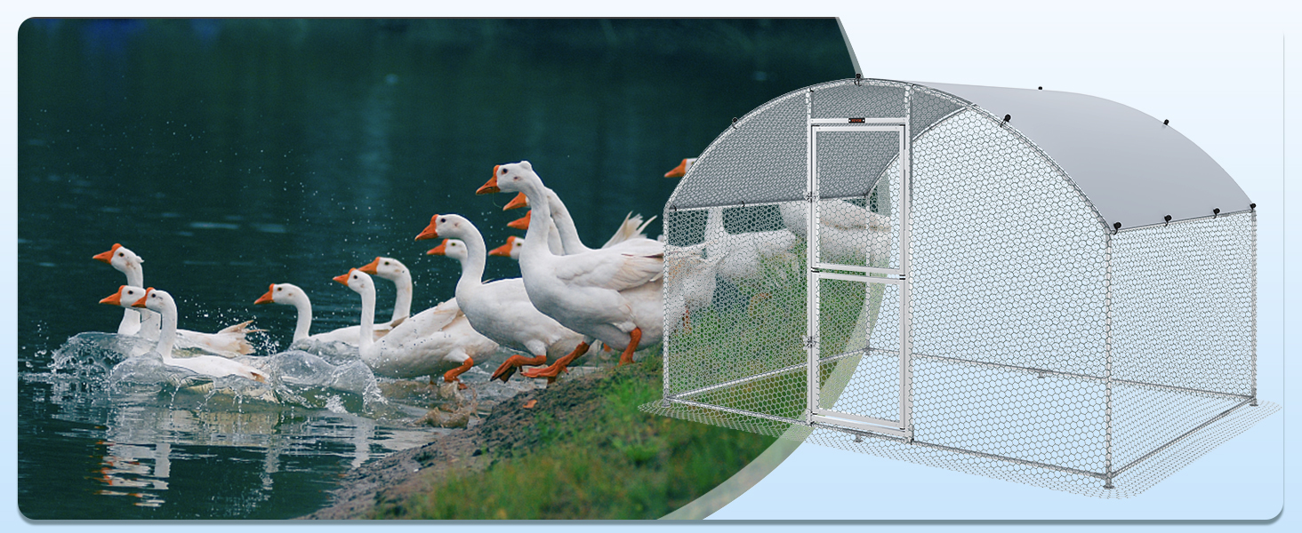 ducks by a pond next to a VEVOR chicken coop with a curved metal frame and wire mesh enclosure.