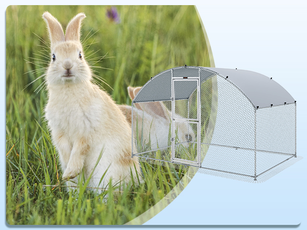 two rabbits in a grassy field with a VEVOR chicken coop on the right.
