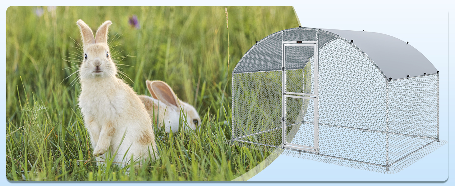 two rabbits in a grassy field with a VEVOR chicken coop on the right.