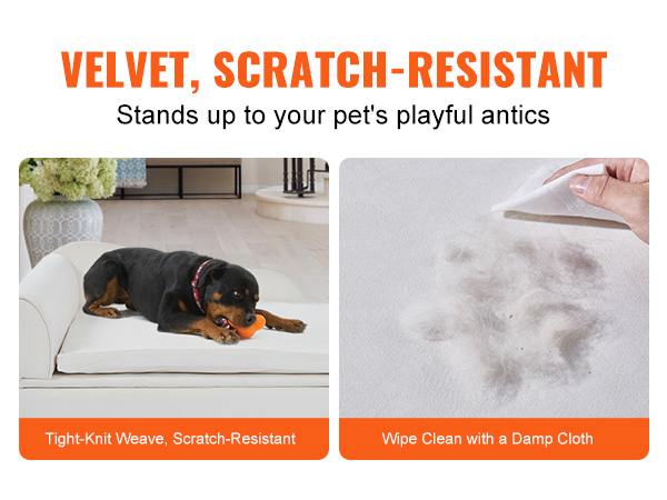 dog lying on white velvet scratch-resistant VEVOR pet sofa, cleaning fur with a damp cloth.