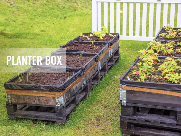 Paceltas stādīšanas kastes uz zāles, daļēji piepildītas ar augsni un stādiem. Teksta pārklājums: "stādāšanas kaste".