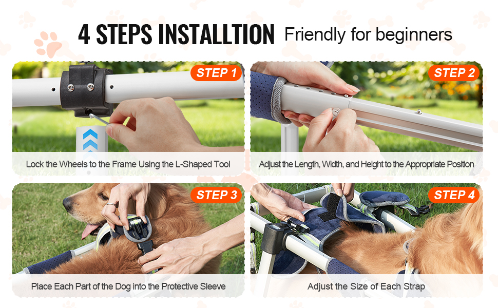 VEVOR dog wheelchair setup: lock wheels, adjust frame, secure dog in sleeves, tighten straps.