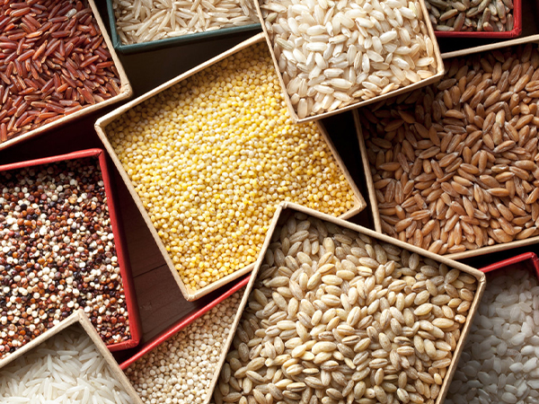 various grains and legumes in square containers, ideal for use with a VEVOR electric grain mill grinder.