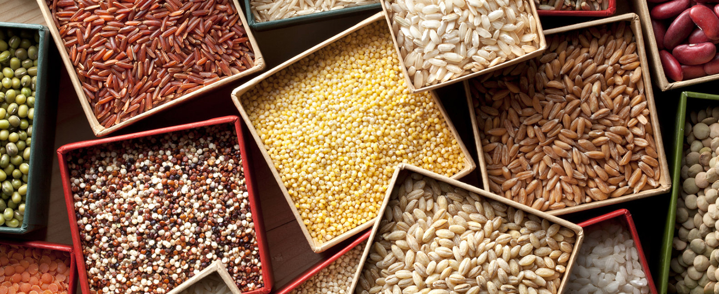 various grains and legumes in square containers, ideal for use with a VEVOR electric grain mill grinder.