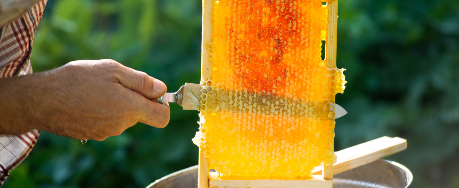 hand scraping honeycomb frame in beekeeping setup near VEVOR electric honey extractor.