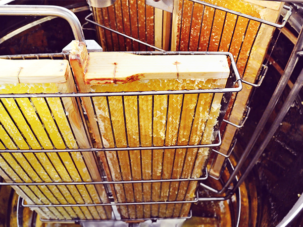 frames of honeycomb inside a VEVOR honey extractor, showcasing fresh, golden honey being processed.