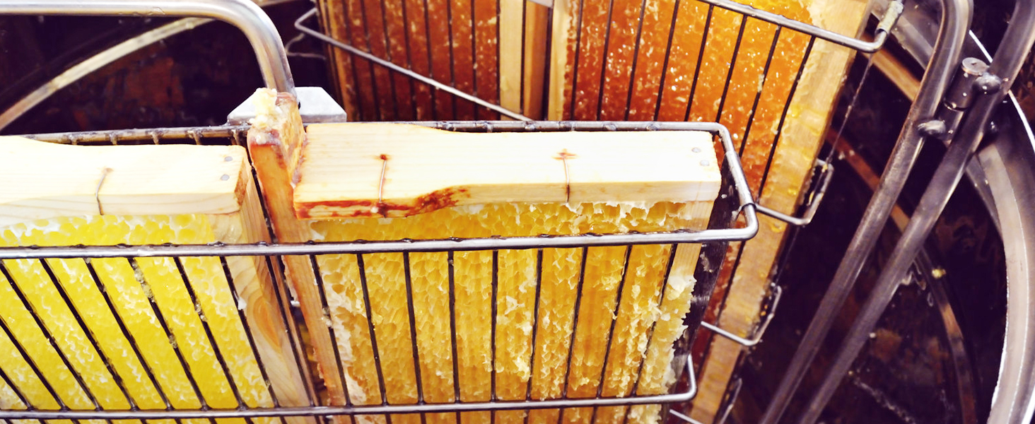 frames of honeycomb inside a VEVOR honey extractor, showcasing fresh, golden honey being processed.