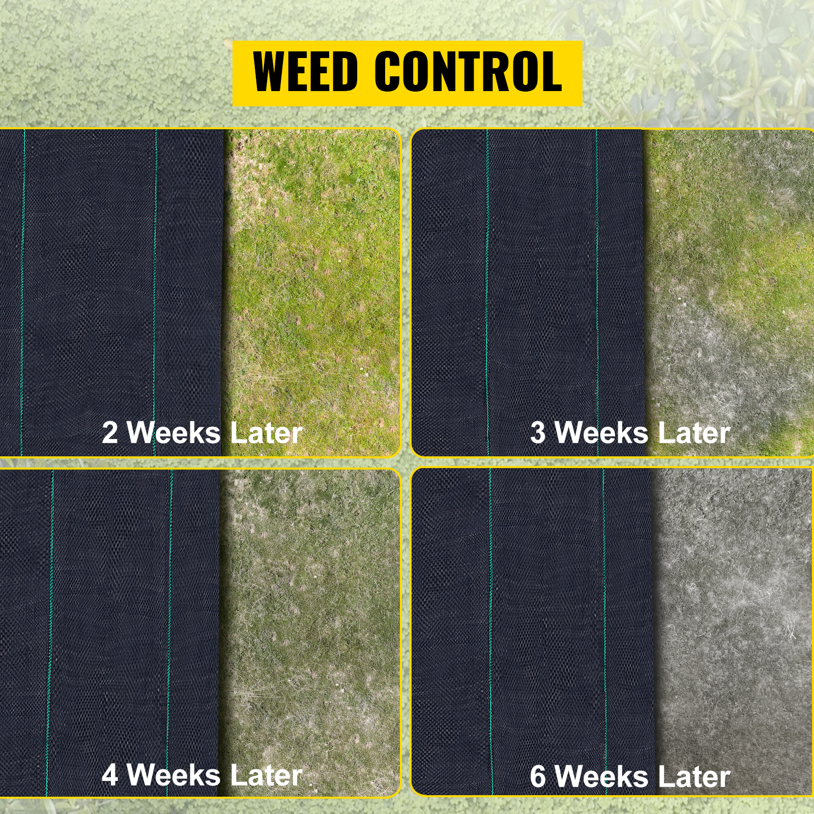 VEVOR weed barrier showing weed control effectiveness over 2, 3, 4, and 6 weeks.