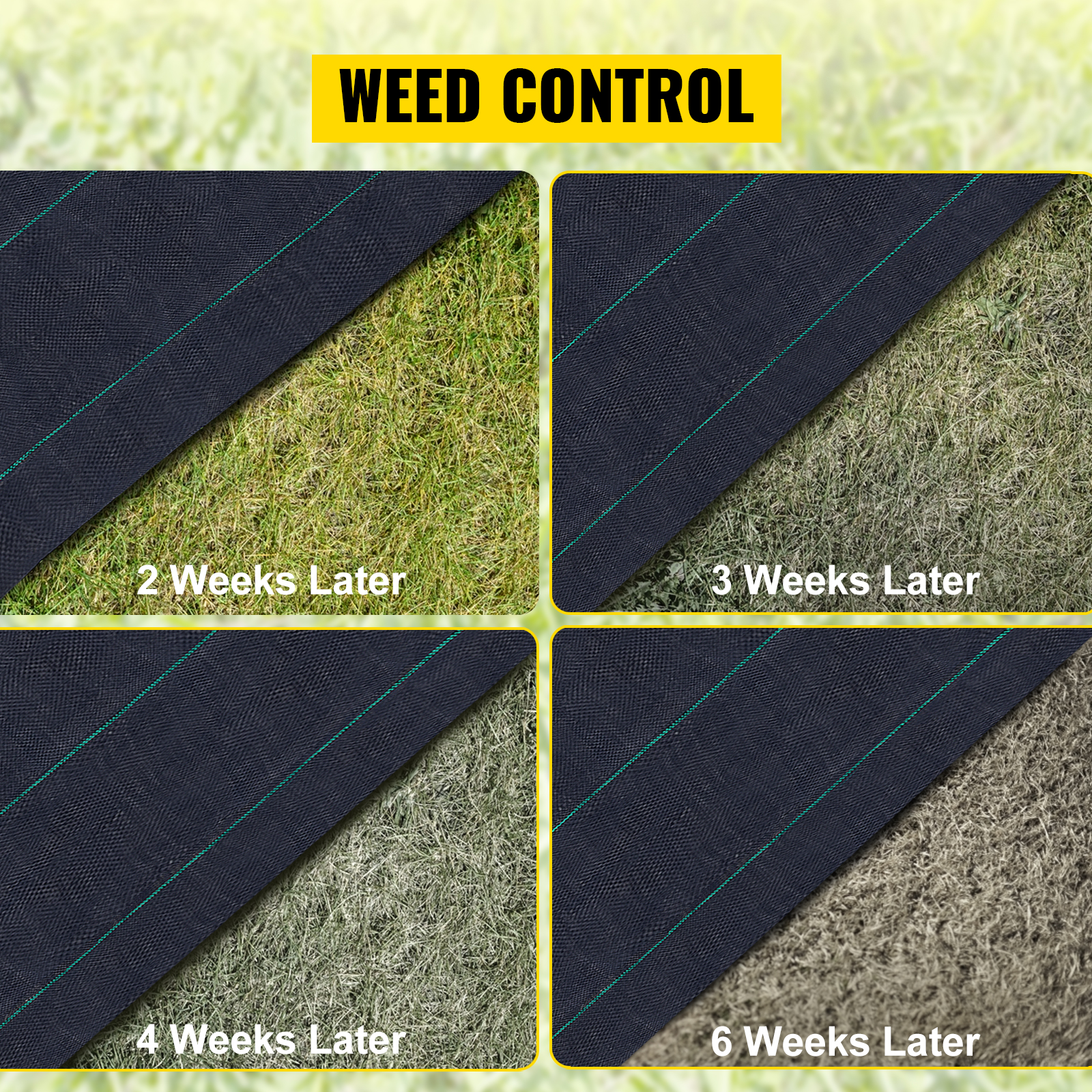 VEVOR garden weed barrier fabric showing grass conditions from 2 to 6 weeks later.