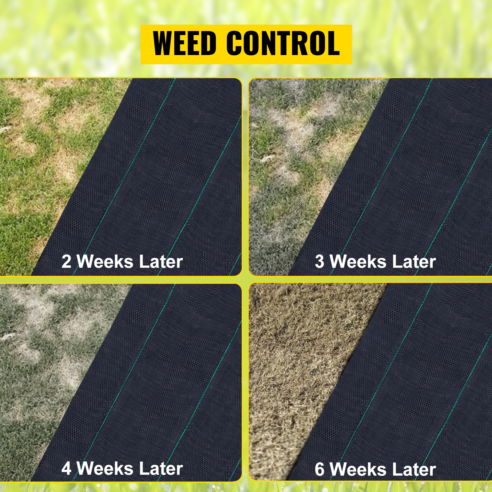 VEVOR weed barrier fabric effectively controls weeds over 6 weeks in four stages.