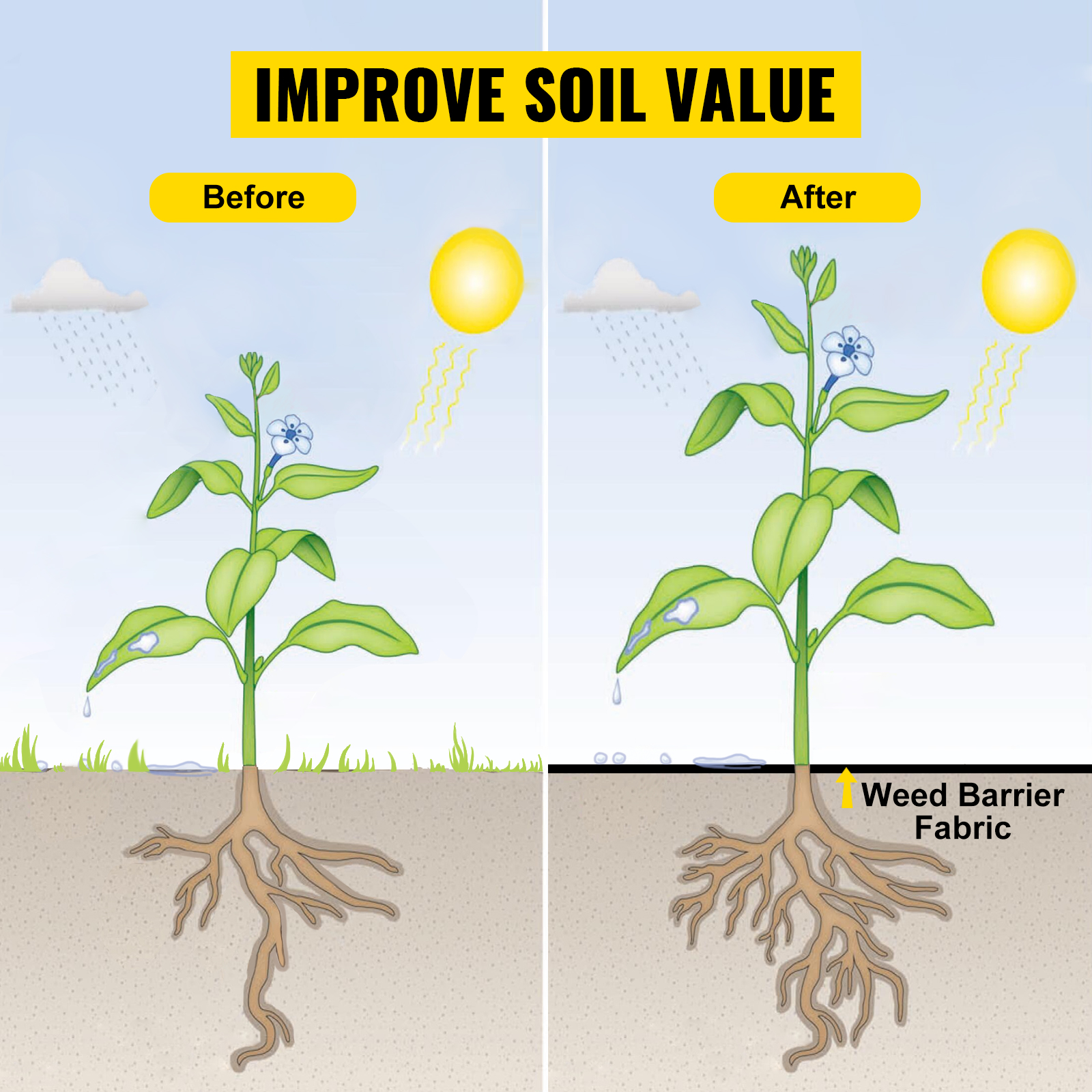 before and after plant growth using VEVOR weed barrier fabric to improve soil value.