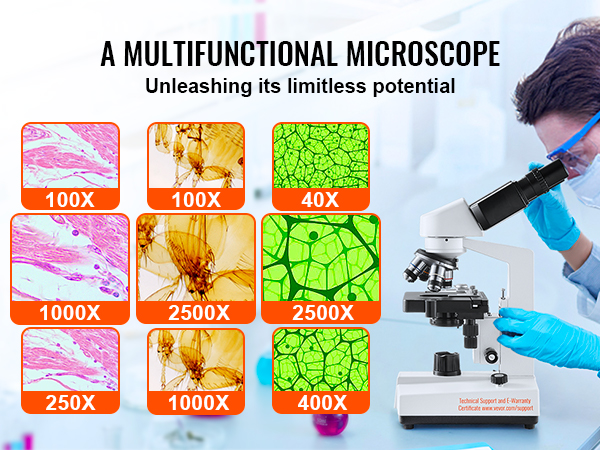 VEVOR binocular compound microscope displaying magnifications from 40x to 2500x with vibrant sample images.
