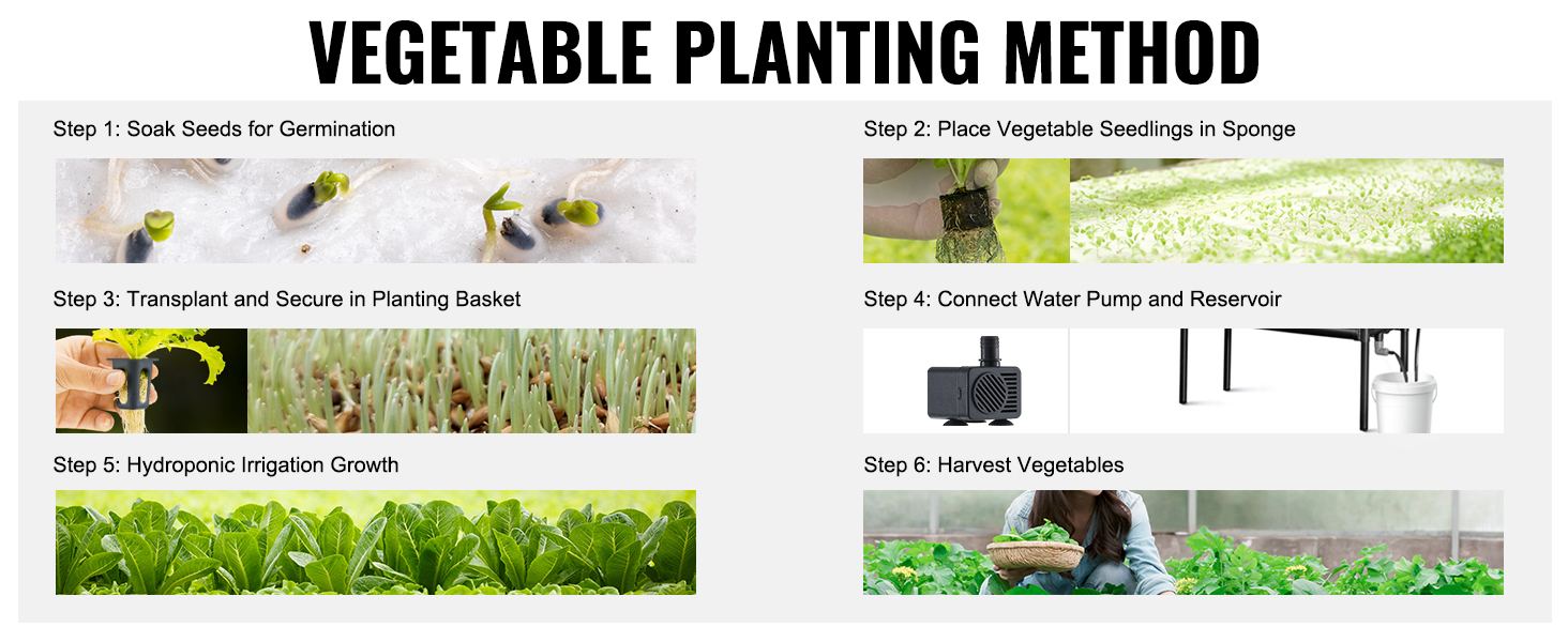 VEVOR hydroponics system steps: soak seeds, place seedlings, transplant, connect pump, irrigation growth, harvest.