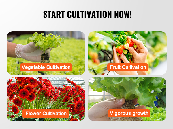 start cultivation now with VEVOR hydroponics system for vegetable, fruit, and flower growth.