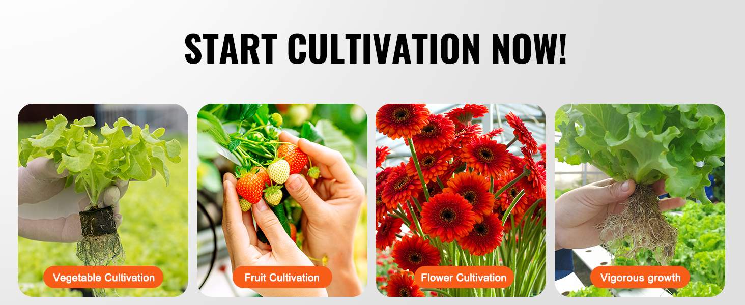 start cultivation now with VEVOR hydroponics system for vegetable, fruit, and flower growth.