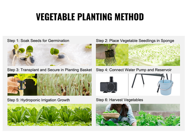 VEVOR hydroponics system guide: soak seeds, place seedlings, transplant, connect pump, grow, harvest.