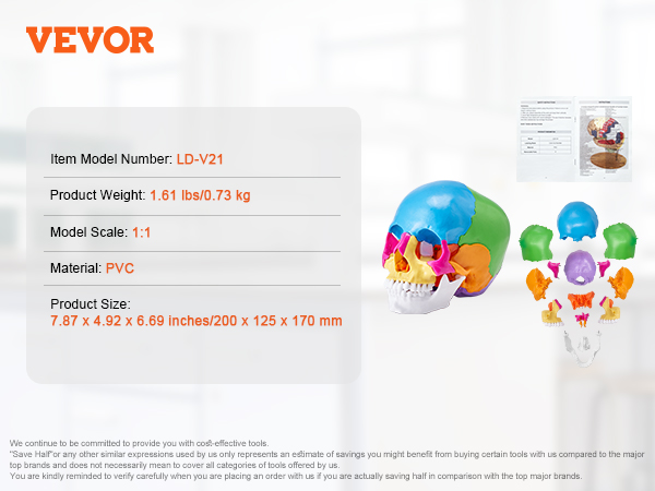 VEVOR human skull model ld-v21, 1:1 scale, pvc, weight 1.61 lbs, 7.87 x 4.92 x 6.69 inches