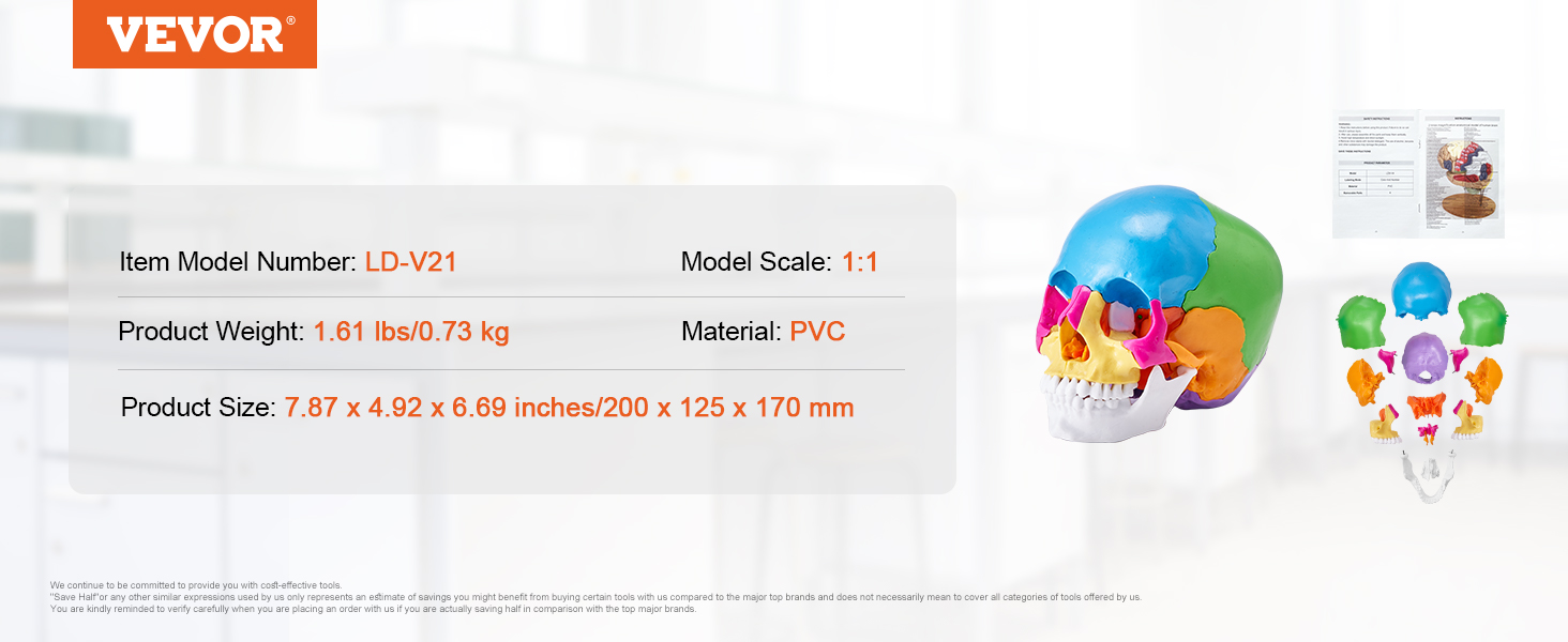 VEVOR human skull model ld-v21, 1:1 scale, pvc, weight 1.61 lbs, 7.87 x 4.92 x 6.69 inches