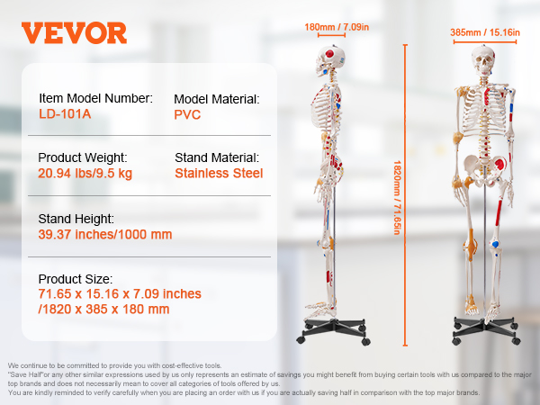 VEVOR anatomy skeleton model, pvc, stainless steel stand, 71.65in size, 20.94 lbs weight, ld-101a.