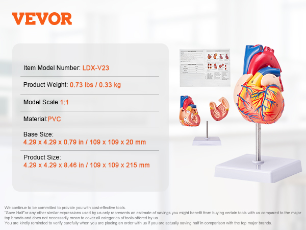 VEVOR human heart model, model number ldx-v23, pvc material, 1:1 scale, with product details.