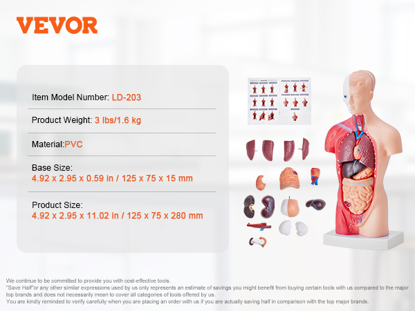 VEVOR human body model, 11.02 inches tall, detachable organs, pvc material, item ld-203, 1.01 lbs weight.