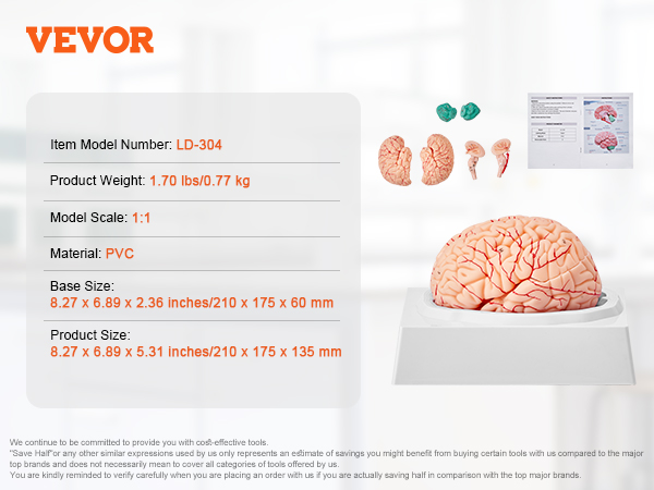 VEVOR human brain model ld-304, 1:1 scale, pvc, 1.70 lbs, 8.27 x 6.89 x 5.31 inches.