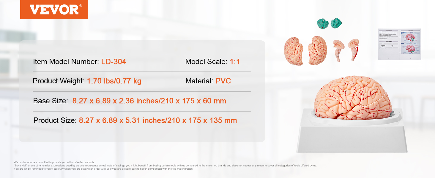 VEVOR human brain model ld-304, 1:1 scale, pvc, 1.70 lbs, 8.27 x 6.89 x 5.31 inches.