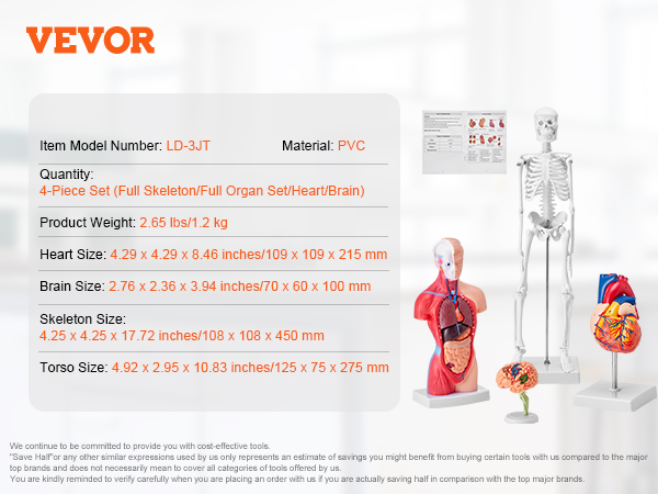 VEVOR anatomijas modeļu 4 detaļu komplektā ietilpst pilns skelets, orgānu komplekts, sirds un smadzeņu modeļi, kas izgatavoti no PVC.