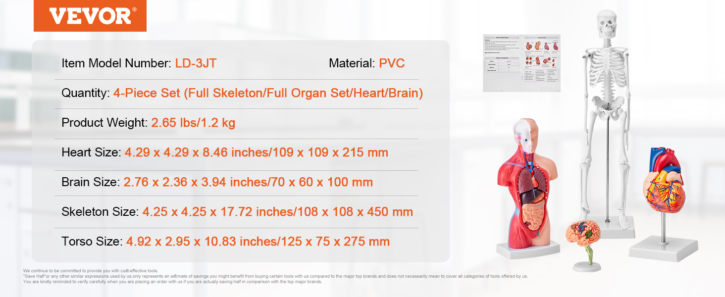 VEVOR anatomijas modeļu 4 detaļu komplektā ietilpst pilns skelets, orgānu komplekts, sirds un smadzeņu modeļi, kas izgatavoti no PVC.
