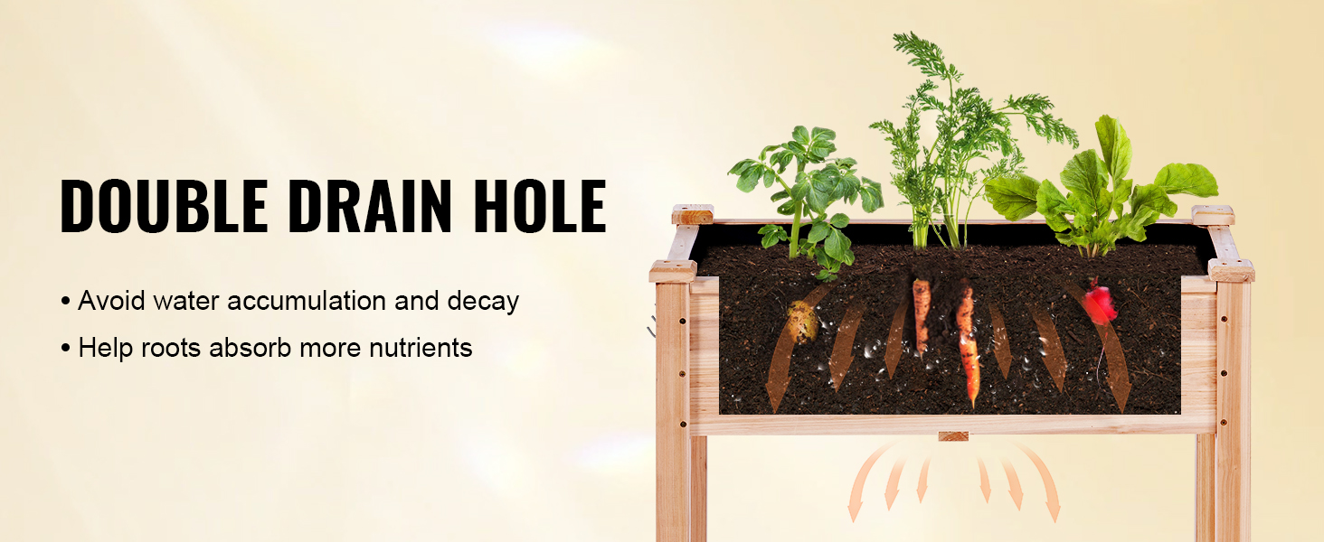 VEVOR sodo lova su dvigubo nutekėjimo skylę siekiant išvengti vandens kaupimo ir pagalbos šaknis maistinių medžiagų absorbcijos.