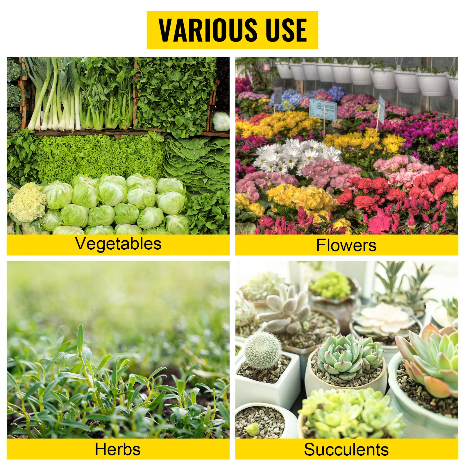 vegetables, flowers, herbs, and succulents grown in VEVOR raised garden bed. various use.