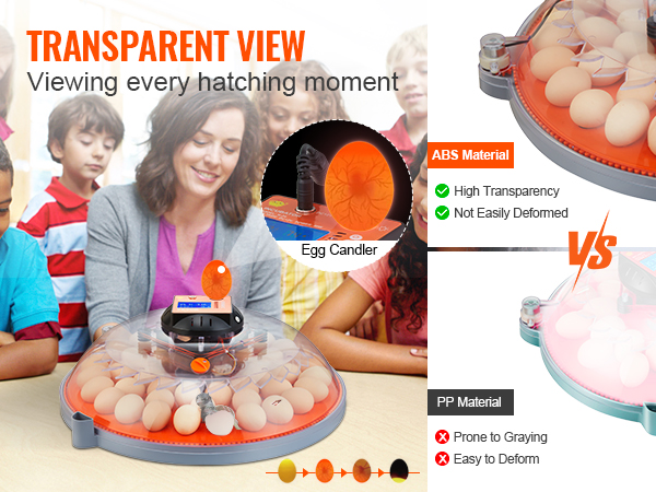 children observing a VEVOR egg incubator with a transparent lid showcasing eggs and an egg candler.