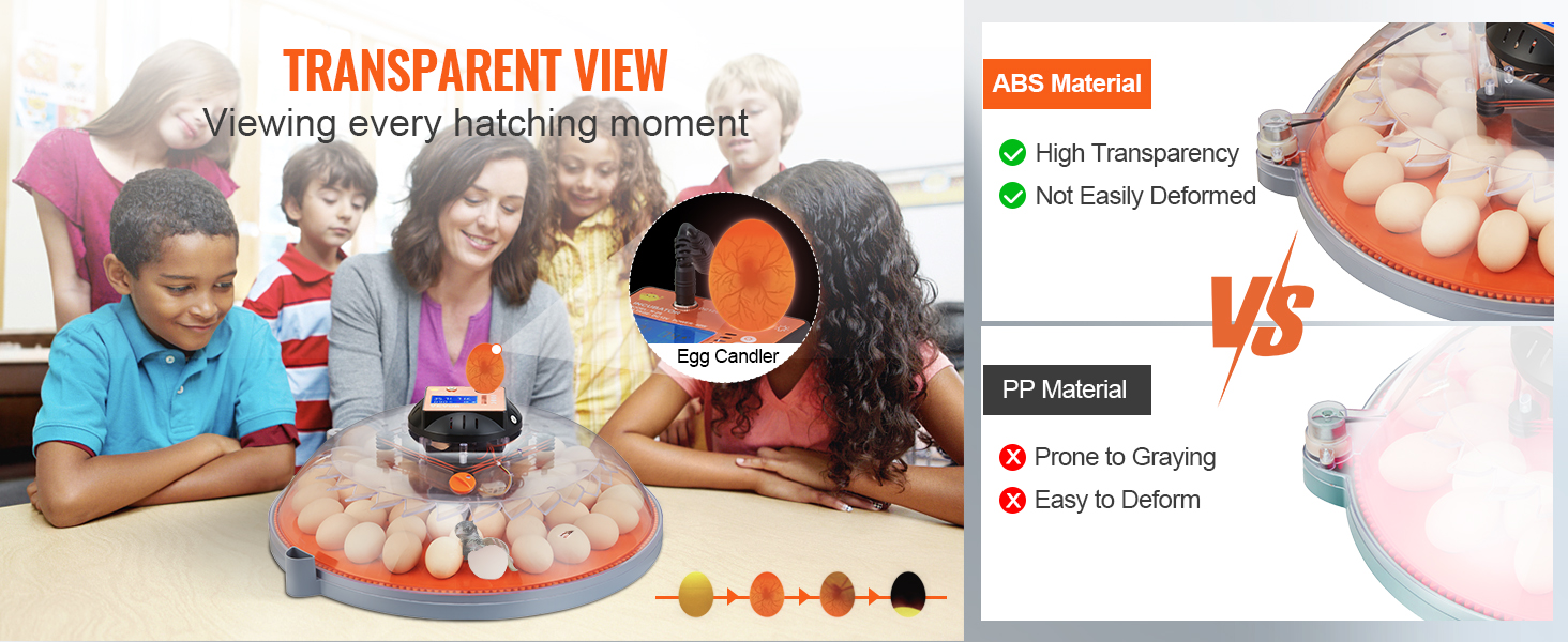 children observing a VEVOR egg incubator with a transparent lid showcasing eggs and an egg candler.