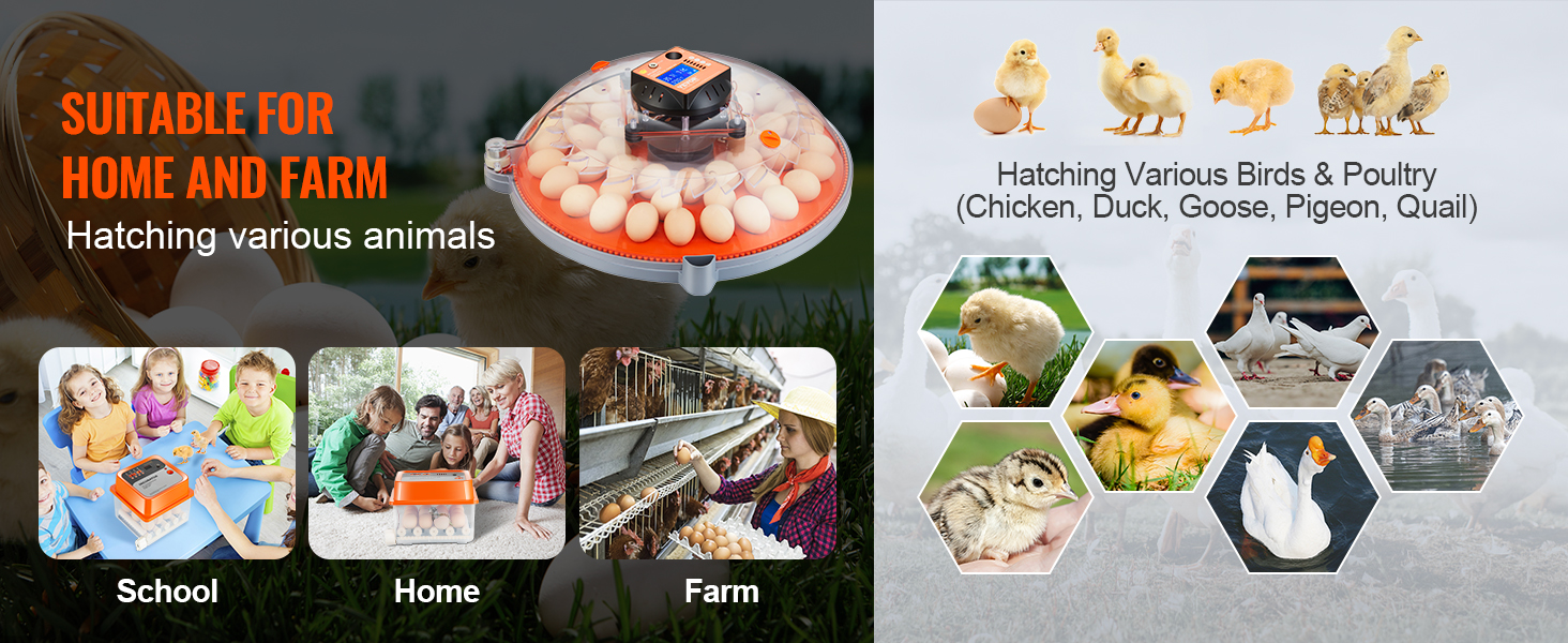 VEVOR egg incubator for hatching various animals, suitable for home, school, and farm use.