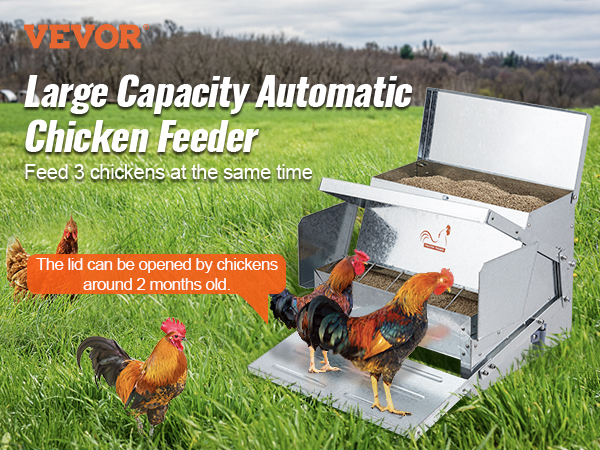 VEVOR automatic chicken feeder in a grassy field, feeding multiple chickens.