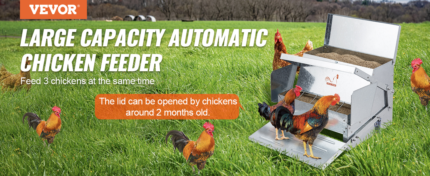 VEVOR automatic chicken feeder in a grassy field, feeding multiple chickens.