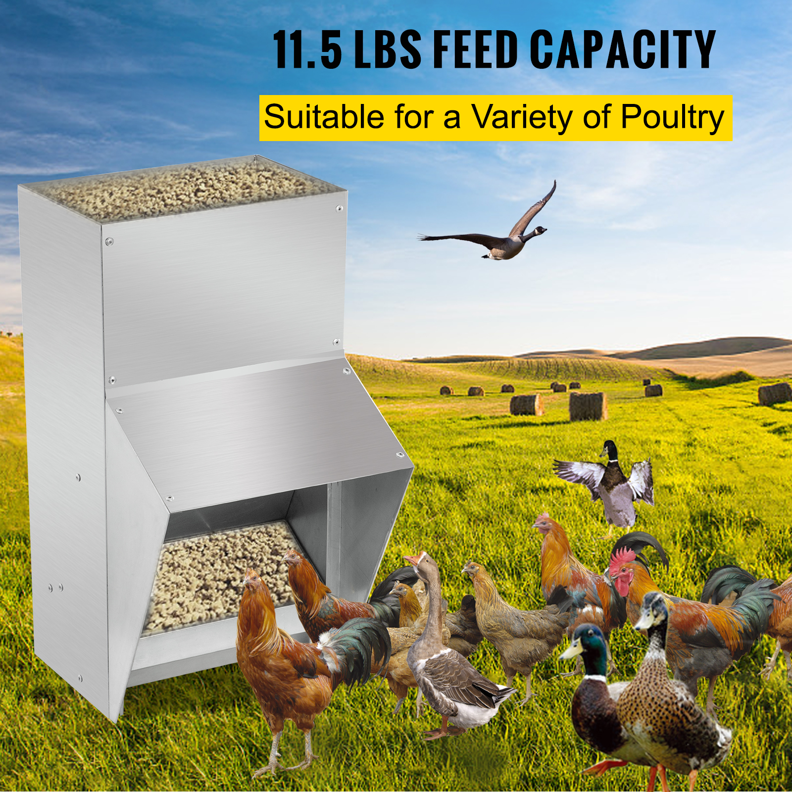 VEVOR chicken feeder with 11.5 lbs feed capacity, suitable for various poultry in a field.
