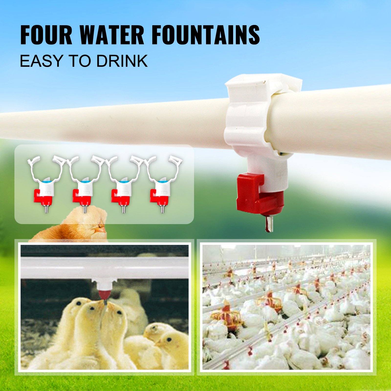 four water fountains for poultry, easy to drink with VEVOR galvanized poultry feeder.