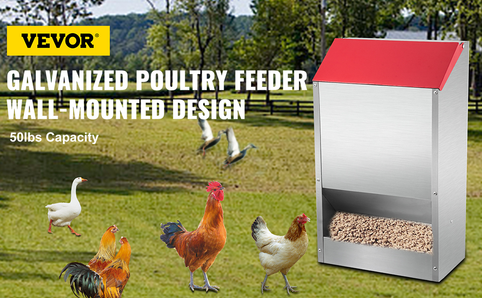 VEVOR galvanized poultry feeder with wall-mounted design in a field with chickens and ducks.