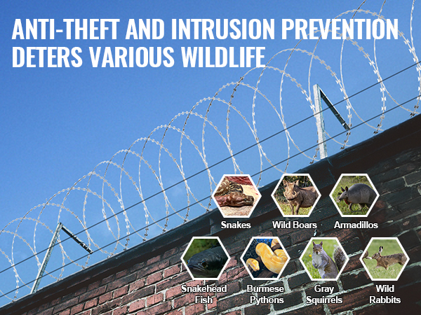 barbed wire fence on a brick wall with images of snakes, wild boars, armadillos, fish, pythons, squirrels, and rabbits.