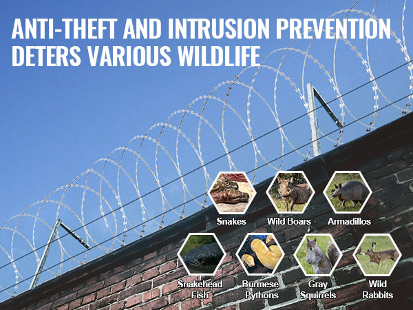 VEVOR razor wire on brick wall deters snakes, wild boars, armadillos, and other wildlife.