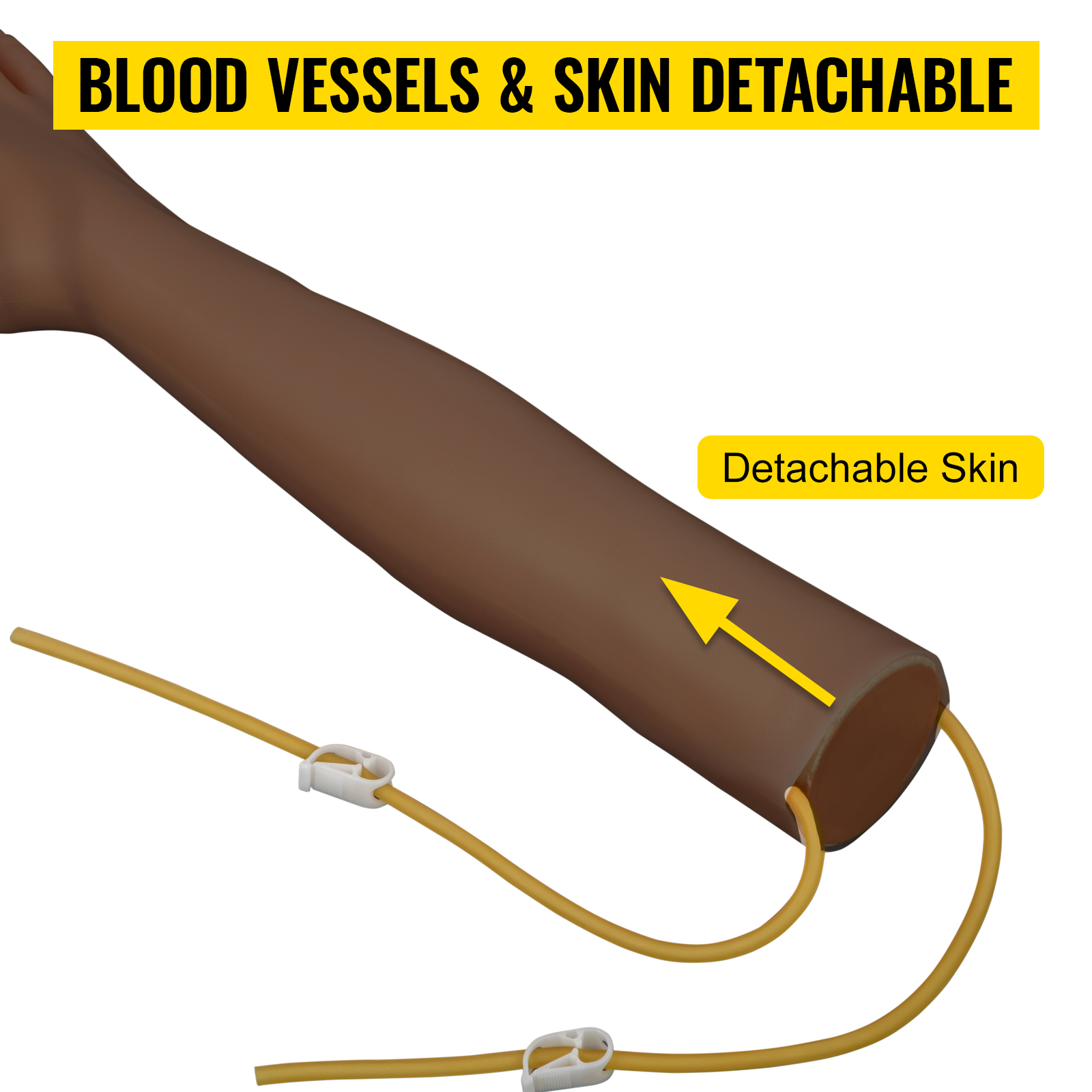 VEVOR phlebotomy practice kit arm showing detachable skin and blood vessels.