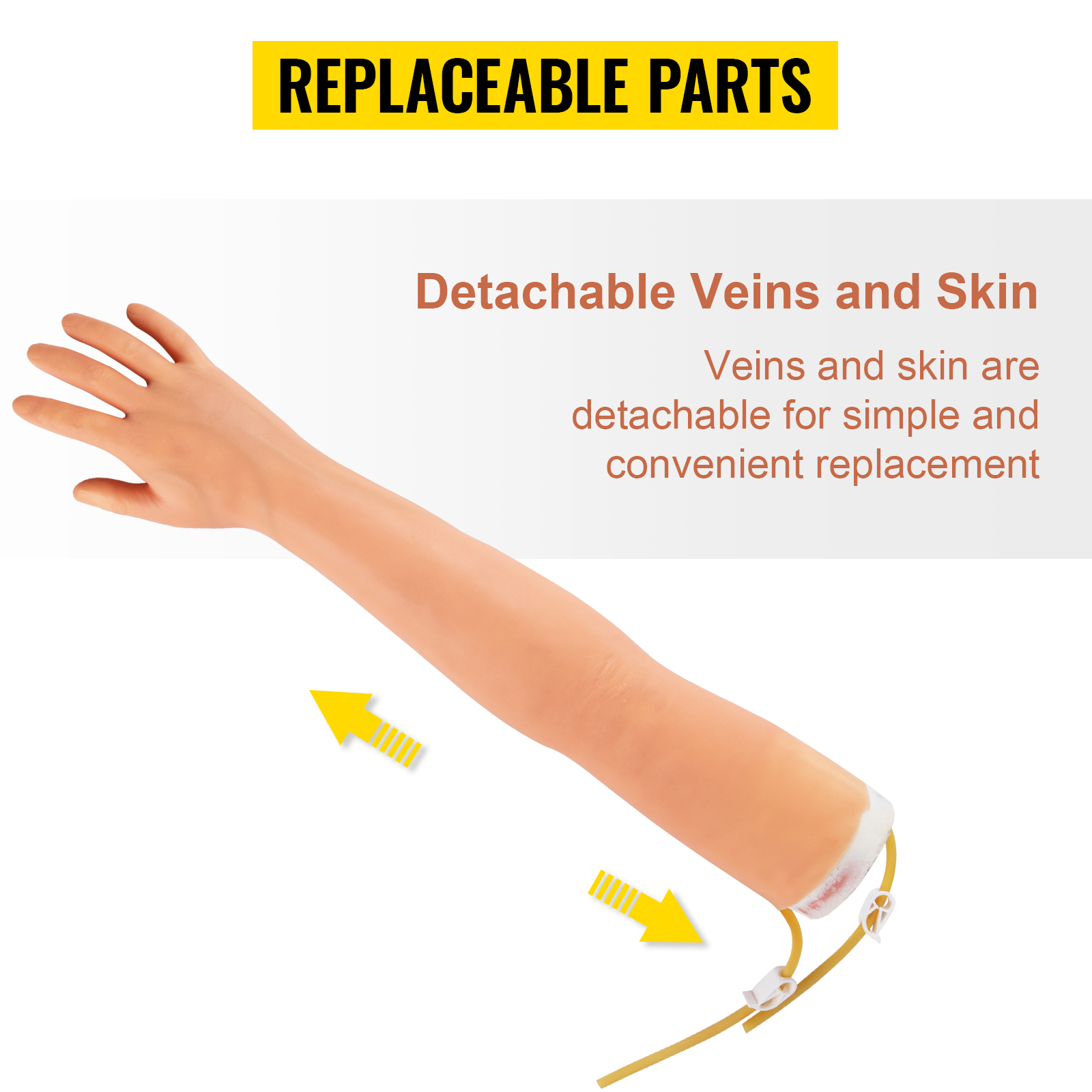 VEVOR phlebotomy practice kit showcasing detachable veins and replaceable skin parts for training.